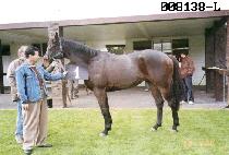 �߾��� (CHUYAJANG) ����