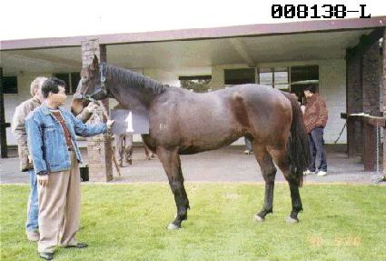 �߾��� ����