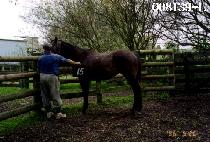 ���굵 (WONSANDO) ����