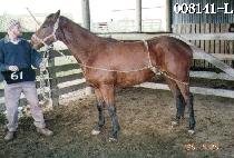 ������ (SIERRA) ����