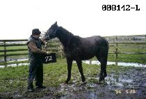 ����ȭ (CHAMPYEONGHWA) ����