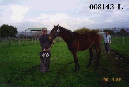 ���縮�� ����