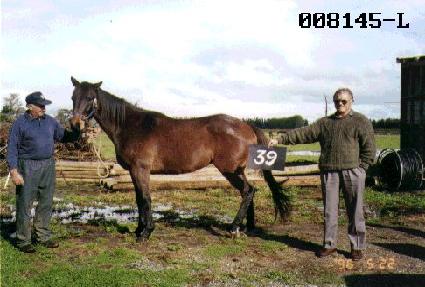 �̽������ ����