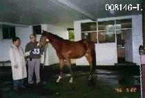 ���ϼ� (GWANGAMSEONG) ����