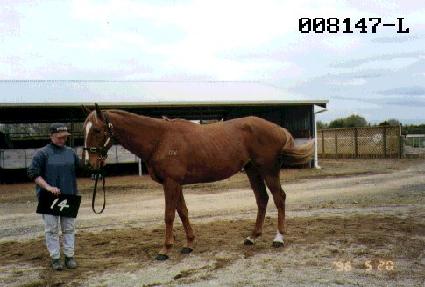 ��õ�ǹݶ� ����