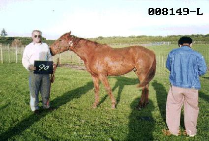 û�ǻ� ����