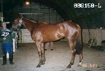 ������Ƽ�� (NEW FRONTIER) ����