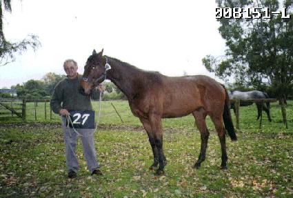 ���� ����