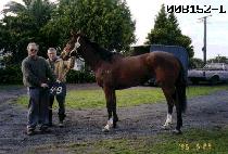 ������ (MUGOONGHAN) ����