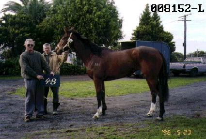 ������ ����