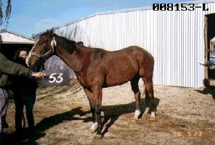 ������ ����