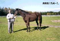 ������ (YUJEONGJI) ����