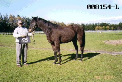 ������ ����