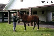 ���� (MANYEO) ����