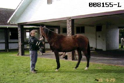 ���� ����