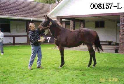 ���� ����