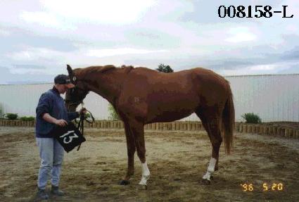 �����긴�� ����