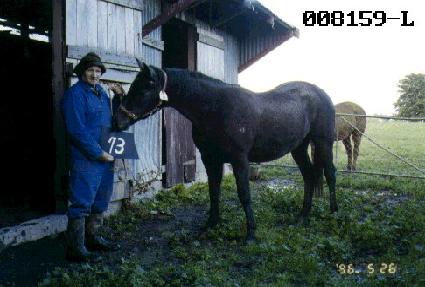 ���� ����