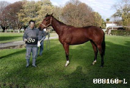 ��Ǯ�� ����