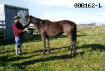 �쿩�� (WUYEOBI) ����