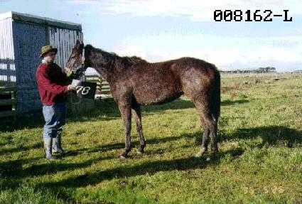 �쿩�� ����