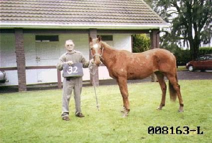 ���۳�� ����