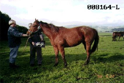 �븶�� ����