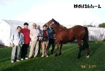 �οջ� (INWANGSAN) ����