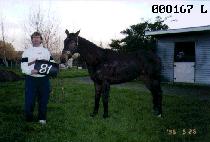 ��ȣ�� (BAEKHOSAN) ����