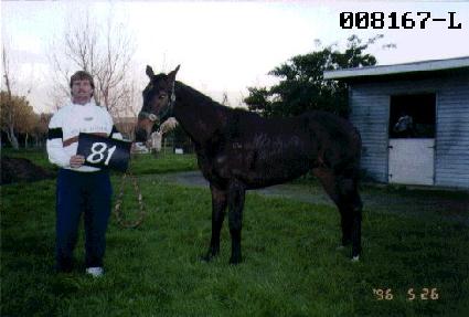 ��ȣ�� ����