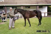 �׷���Ʈ (GREAT) ����