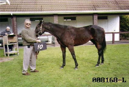 �׷���Ʈ ����