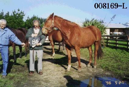 �뱤�� ����