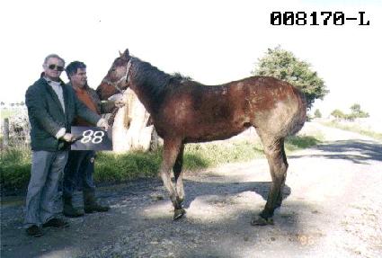 �������� ����