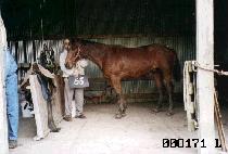 ������ (MANSESAN) ����