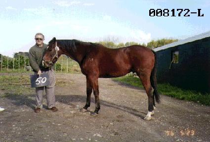 ��� ����