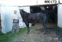 �¿��̺� (GOOD WAVE) ����