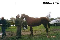 �����ϴ� (BALGEUNHANEUL) ����