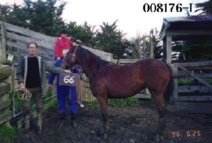 ���� ����