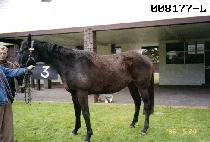 ����Ʈ�Ͽ콺 (LIGHT HOUSE) ����