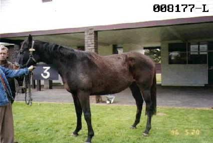 ����Ʈ�Ͽ콺 ����