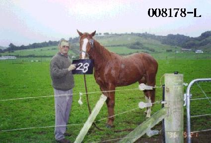 ������ ����