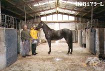 ����ٶ� (DOLSOEBARAM) ����