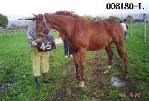 ����ǰ (SINJEPOOM) ����