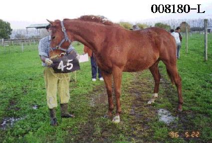 ����ǰ ����