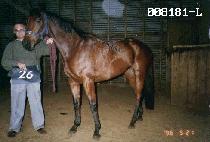 �º���Ʈ (GOOD BEST) ����