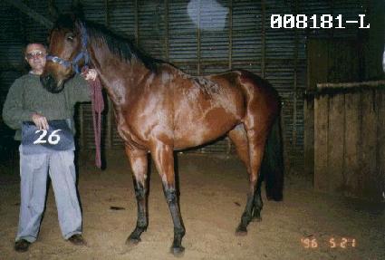 �º���Ʈ ����