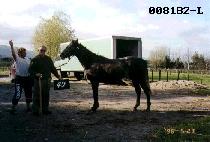 �����屺 (BAEGEUIJANGGOON) ����