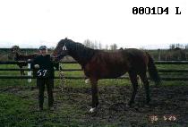 �ξ����� (BUEONGBAWI) ����