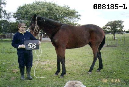 ��Ʈ ����